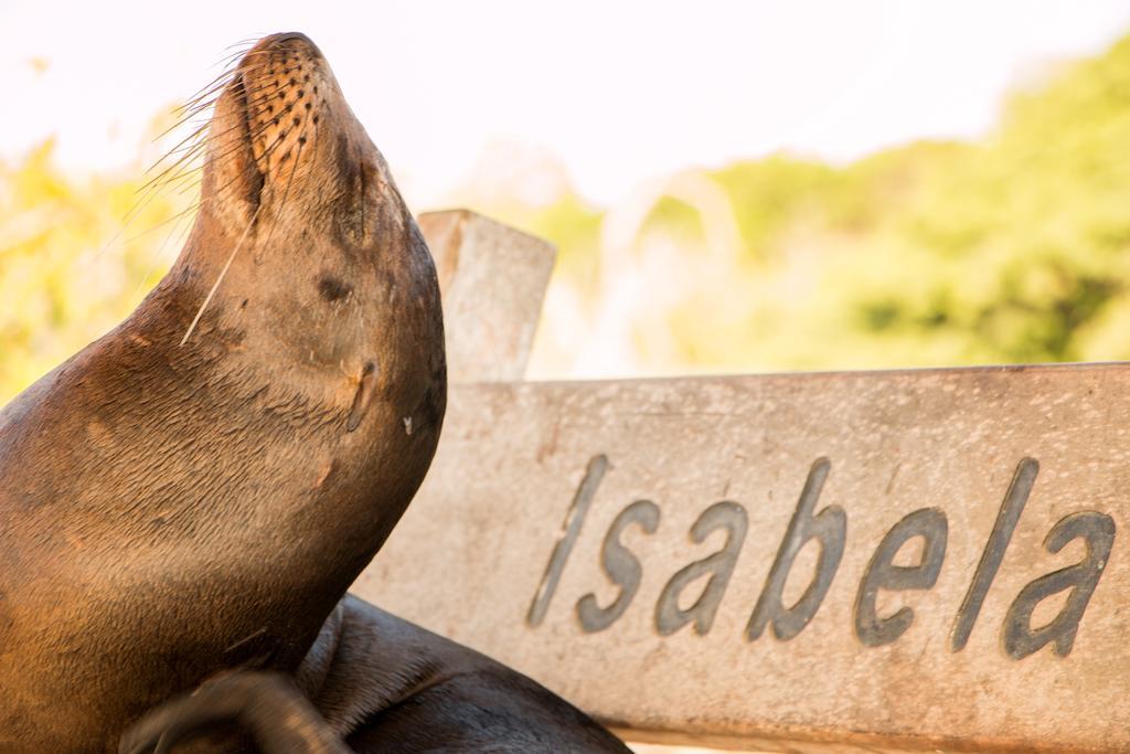 Chez Manany Galapagos Ecolodge Puerto Villamil Ngoại thất bức ảnh
