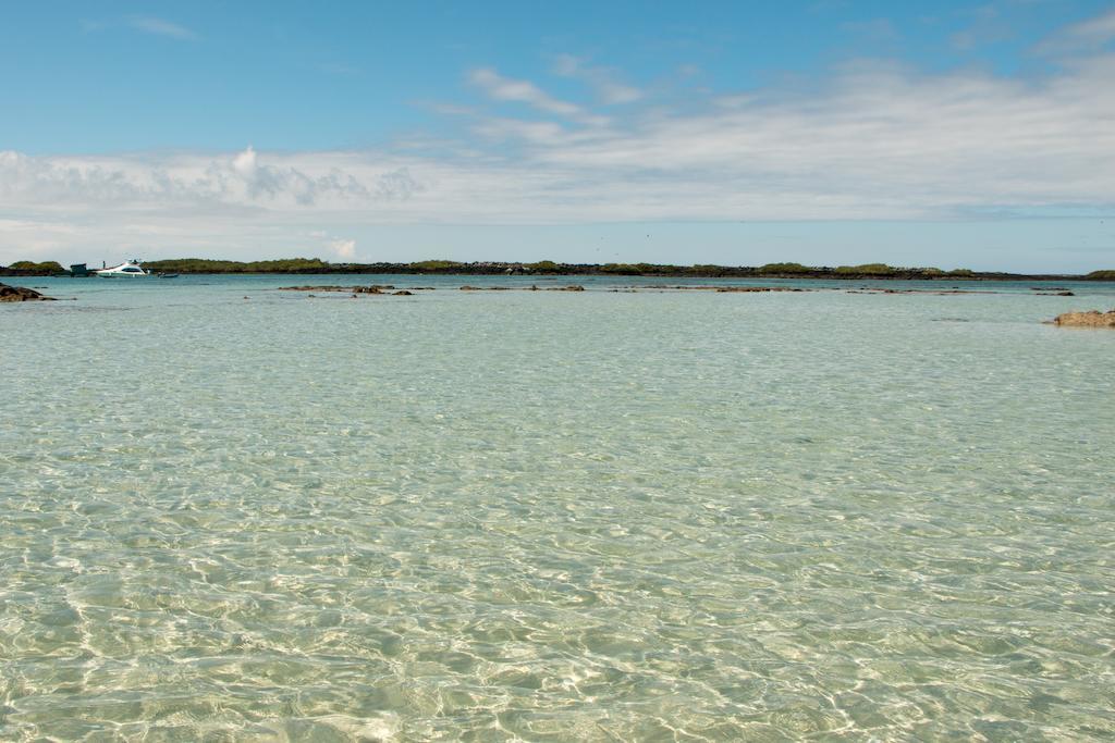 Chez Manany Galapagos Ecolodge Puerto Villamil Ngoại thất bức ảnh